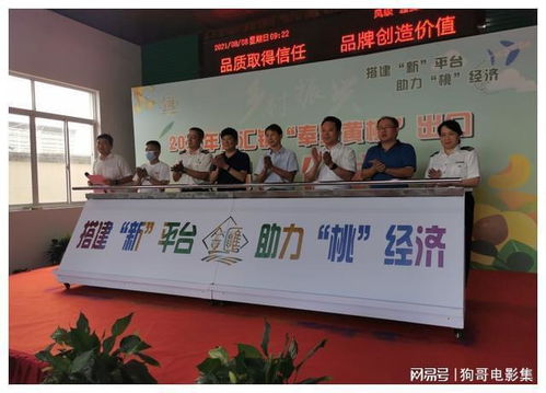 上海奉賢黃桃香飄香港，技術賦能開啟高品質農產品出口新篇章